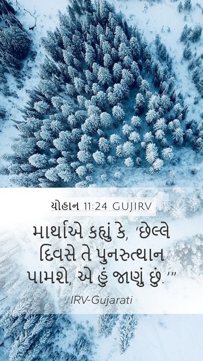 યોહાન 11:24 GUJIRV Bible Verse Image