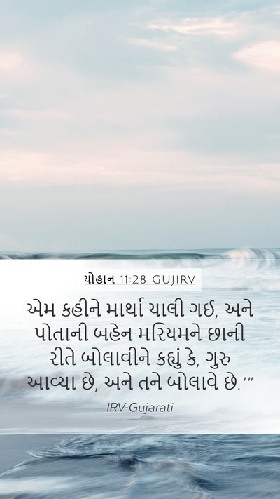 યોહાન 11:28 GUJIRV Bible Verse Image