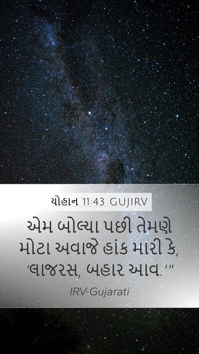 યોહાન 11:43 GUJIRV Bible Verse Image