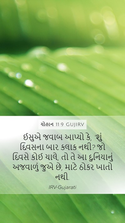 યોહાન 11:9 GUJIRV Bible Verse Image