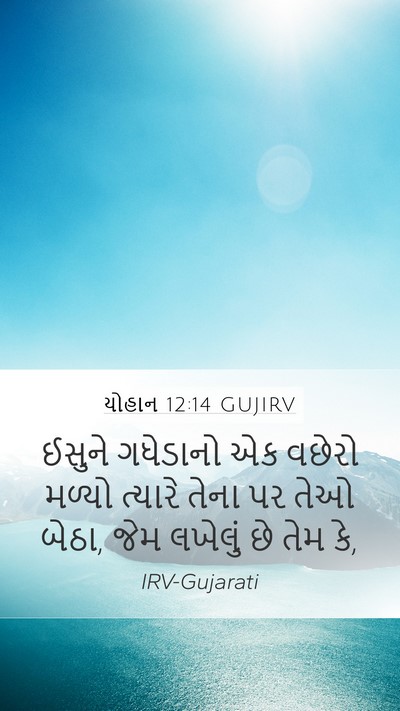 યોહાન 12:14 GUJIRV Bible Verse Image
