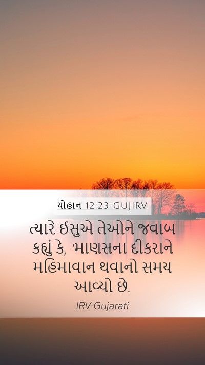 યોહાન 12:23 GUJIRV Bible Verse Image