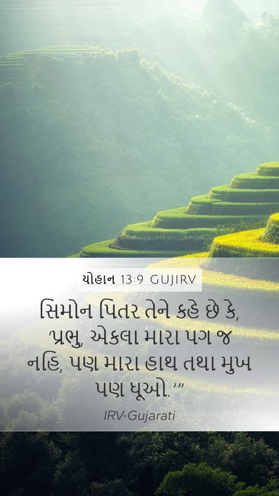 યોહાન 13:9 GUJIRV Mobile Phone Wallpaper - સિમોન પિતર તેને - Mobile Bible Verse Wallpaper