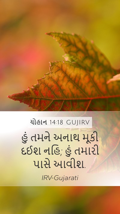 યોહાન 14:18 GUJIRV Bible Verse Image