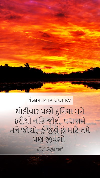 યોહાન 14:19 GUJIRV Bible Verse Image