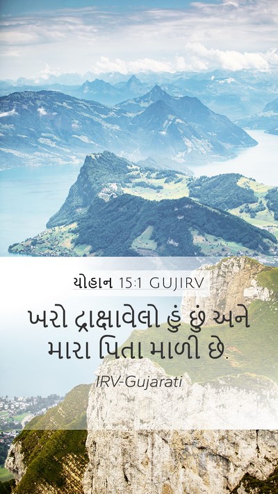 યોહાન 15:1 GUJIRV Bible Verse Image