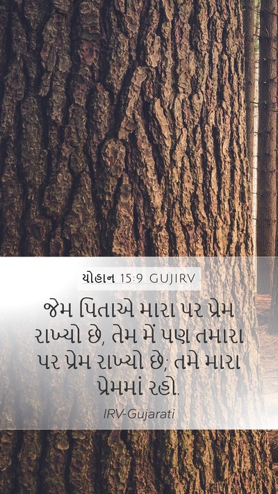 યોહાન 15:9 GUJIRV Bible Verse Image