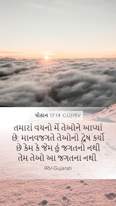 યોહાન 17:14 GUJIRV Bible Verse Image
