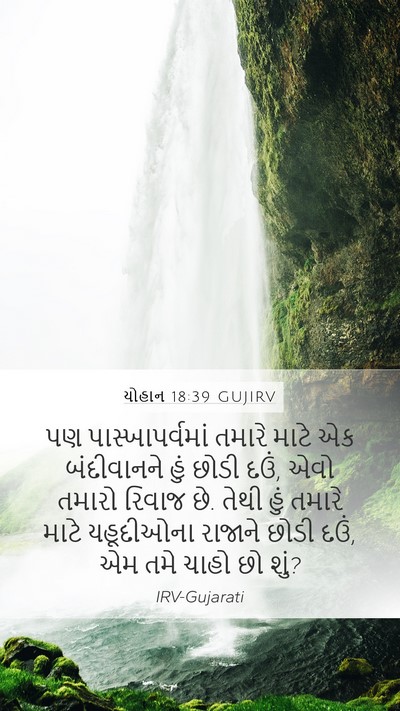યોહાન 18:39 GUJIRV Bible Verse Image