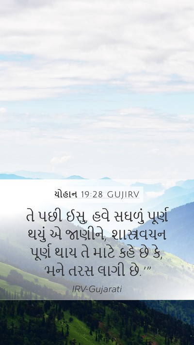 યોહાન 19:28 GUJIRV Bible Verse Image