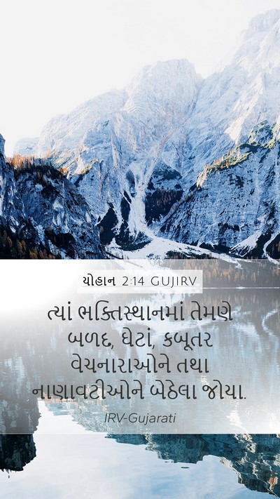યોહાન 2:14 GUJIRV Bible Verse Image