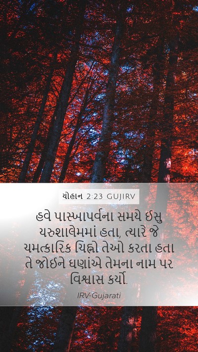યોહાન 2:23 GUJIRV Bible Verse Image