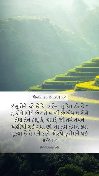 યોહાન 20:15 GUJIRV Bible Verse Image
