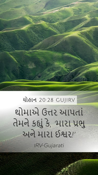 યોહાન 20:28 GUJIRV Bible Verse Image