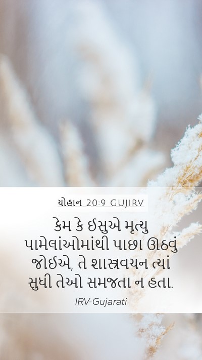 યોહાન 20:9 GUJIRV Bible Verse Image