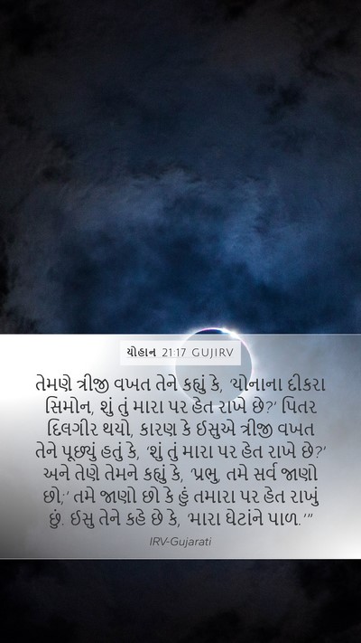 યોહાન 21:17 GUJIRV Bible Verse Image