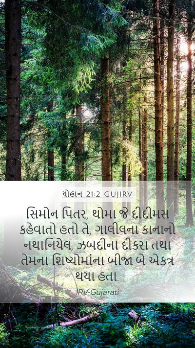 યોહાન 21:2 GUJIRV Bible Verse Image