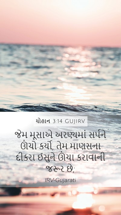 યોહાન 3:14 GUJIRV Bible Verse Image