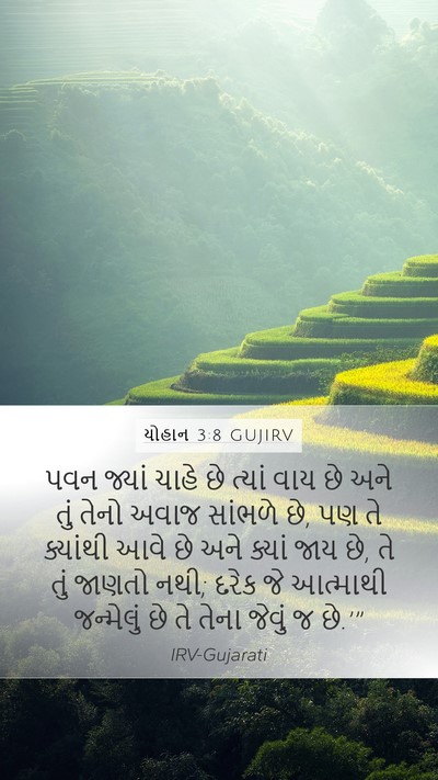 યોહાન 3:8 GUJIRV Bible Verse Image