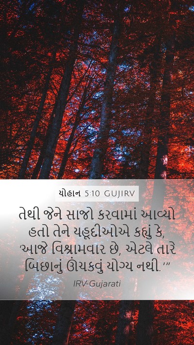 યોહાન 5:10 GUJIRV Bible Verse Image
