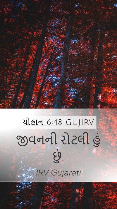 યોહાન 6:48 GUJIRV Bible Verse Image