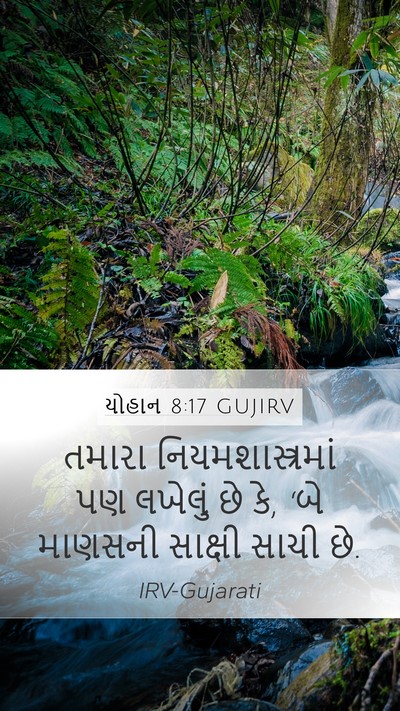 યોહાન 8:17 GUJIRV Bible Verse Image