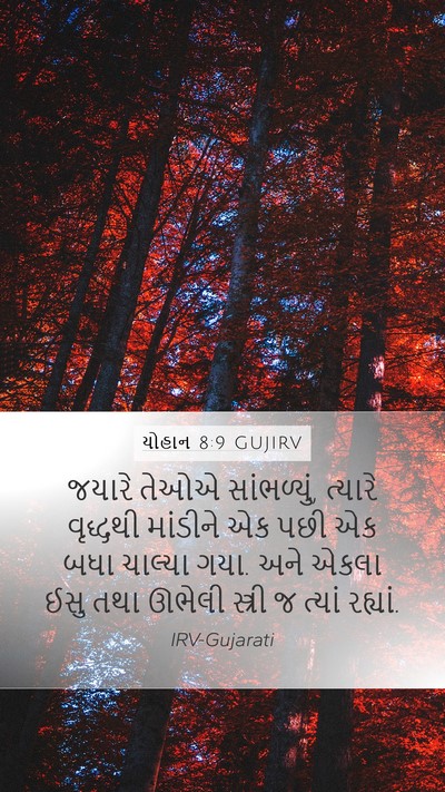 યોહાન 8:9 GUJIRV Bible Verse Image