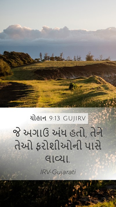 યોહાન 9:13 GUJIRV Bible Verse Image
