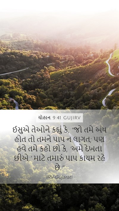 યોહાન 9:41 GUJIRV Bible Verse Image