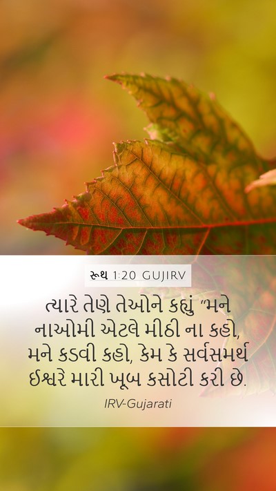રૂથ 1:20 GUJIRV Bible Verse Image