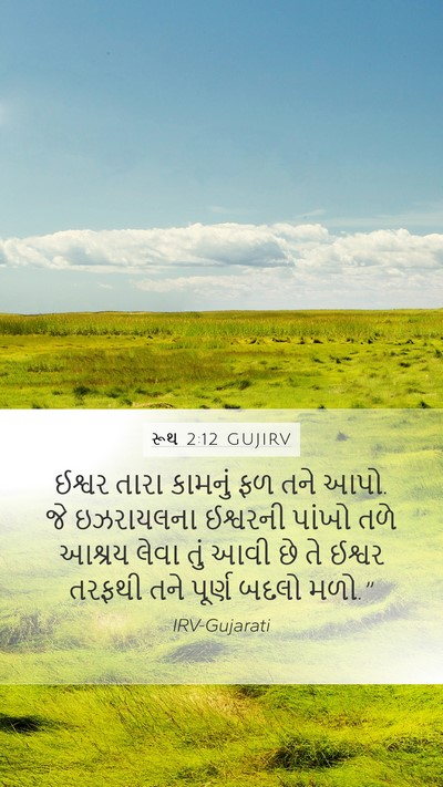 રૂથ 2:12 GUJIRV Bible Verse Image