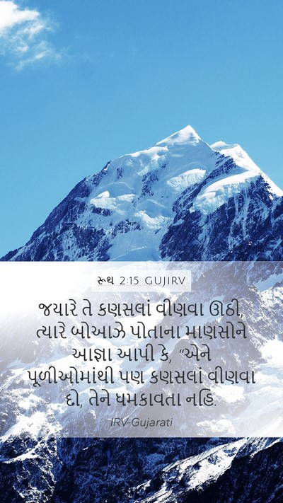 રૂથ 2:15 GUJIRV Mobile Phone Wallpaper - જયારે તે કણસલાં - Mobile Bible Verse Wallpaper