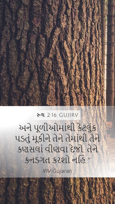 રૂથ 2:16 GUJIRV Mobile Phone Wallpaper - અને પૂળીઓમાંથી - Mobile Bible Verse Wallpaper