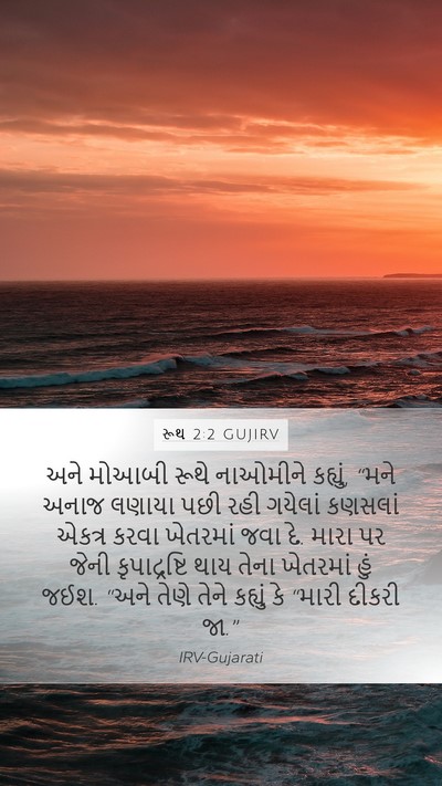 રૂથ 2:2 GUJIRV Bible Verse Image
