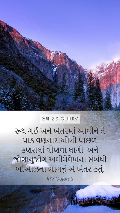 રૂથ 2:3 GUJIRV Bible Verse Image