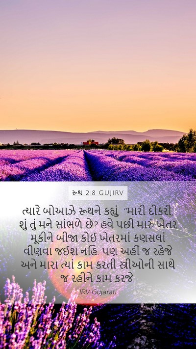 રૂથ 2:8 GUJIRV Mobile Phone Wallpaper - ત્યારે બોઆઝે - Mobile Bible Verse Wallpaper