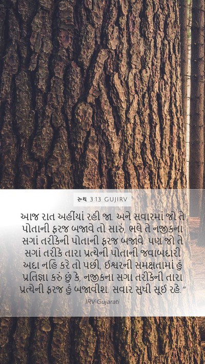 રૂથ 3:13 GUJIRV Mobile Phone Wallpaper - આજ રાત અહીંયાં રહી - Mobile Bible Verse Wallpaper
