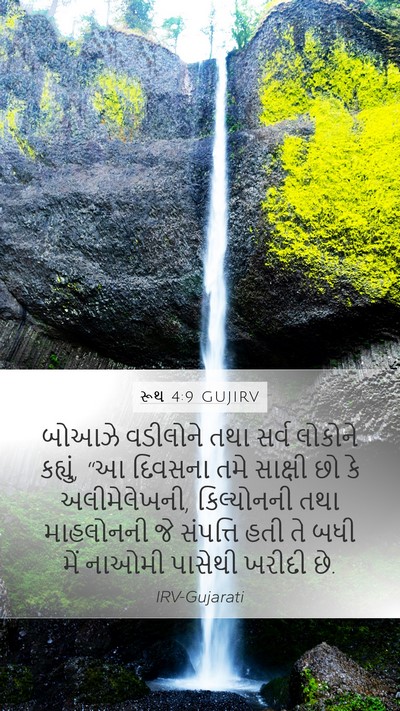 રૂથ 4:9 GUJIRV Bible Verse Image