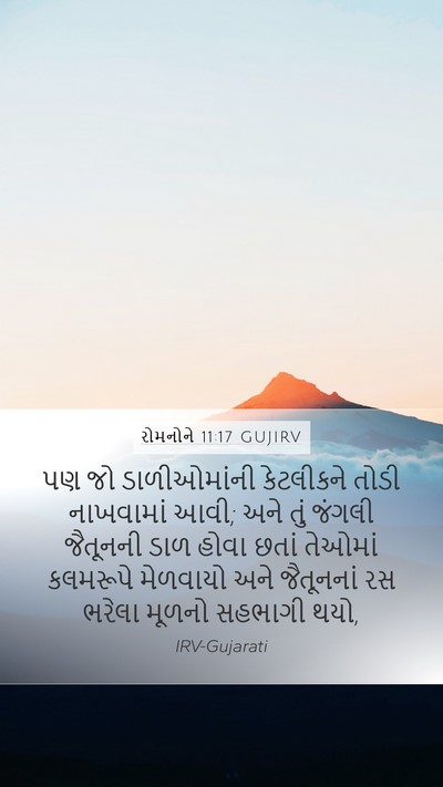 રોમનોને 11:17 GUJIRV Bible Verse Image