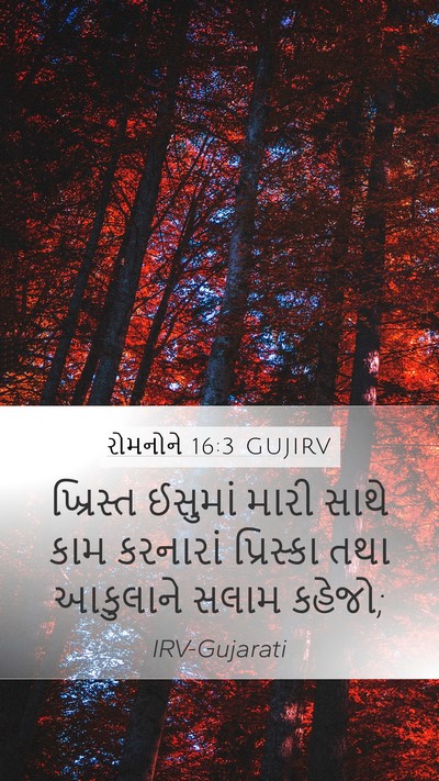 રોમનોને 16:3 GUJIRV Bible Verse Image