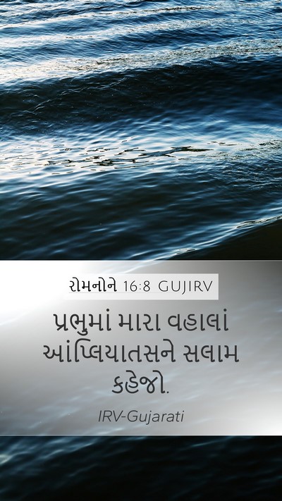 રોમનોને 16:8 GUJIRV Bible Verse Image