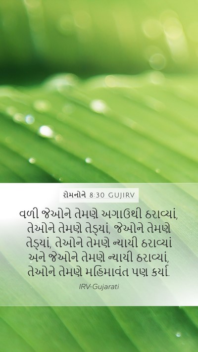 રોમનોને 8:30 GUJIRV Bible Verse Image