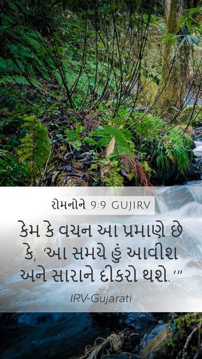 રોમનોને 9:9 GUJIRV Bible Verse Image