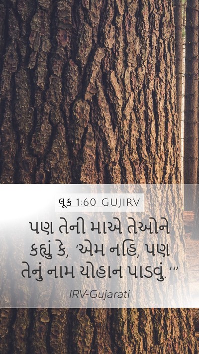 લૂક 1:60 GUJIRV Bible Verse Image
