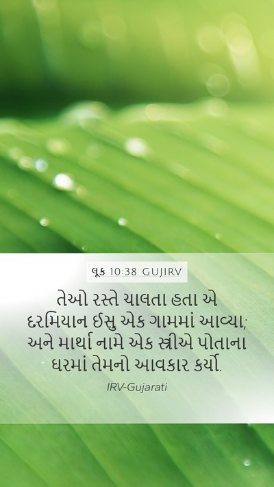 લૂક 10:38 GUJIRV Bible Verse Image