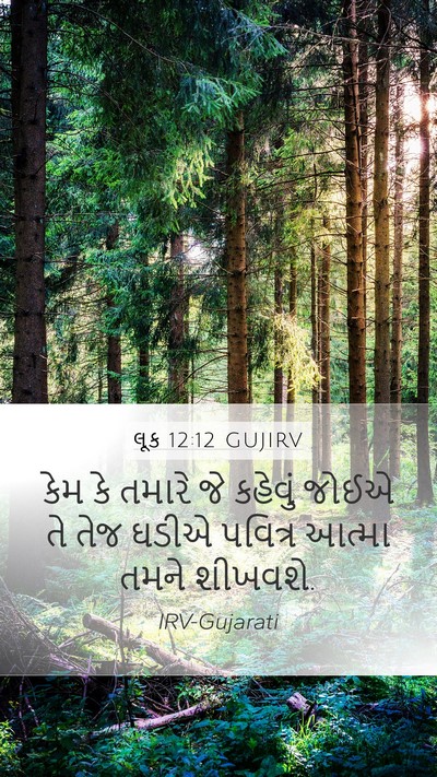 લૂક 12:12 GUJIRV Bible Verse Image