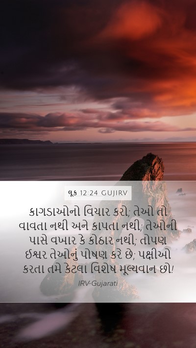 લૂક 12:24 GUJIRV Bible Verse Image