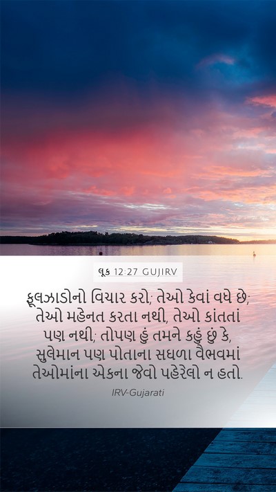 લૂક 12:27 GUJIRV Bible Verse Image
