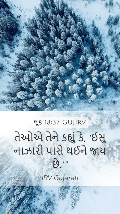 લૂક 18:37 GUJIRV Mobile Phone Wallpaper - તેઓએ તેને કહ્યું - Mobile Bible Verse Wallpaper