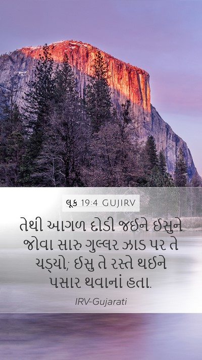 લૂક 19:4 GUJIRV Bible Verse Image